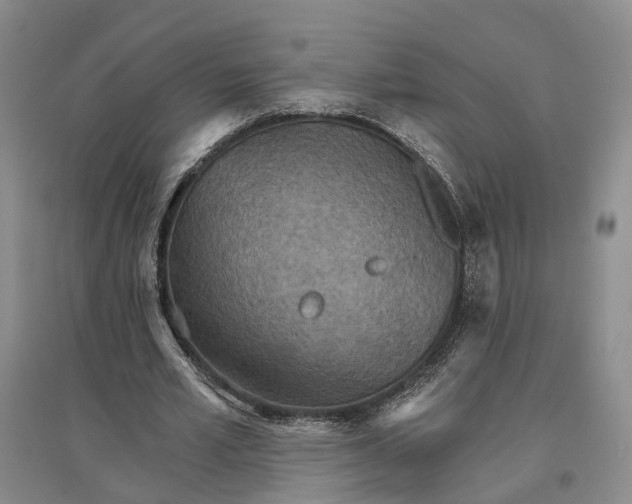 X0000096690581200802261542