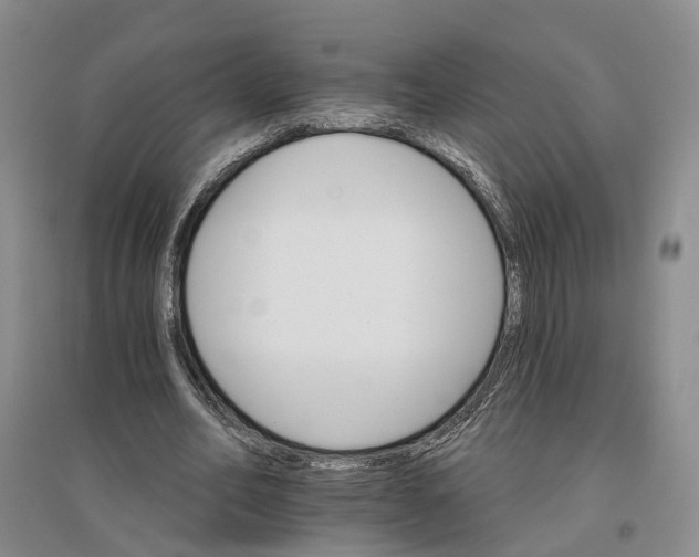 X0000096690582200802261542