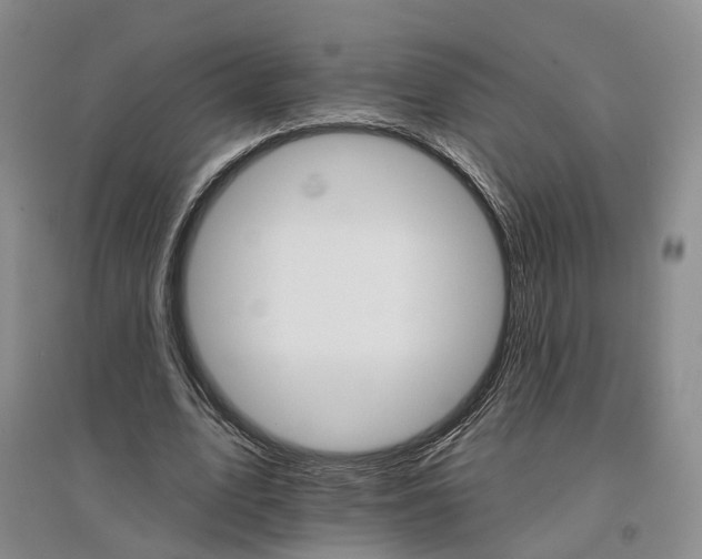 X0000096690583200802261542