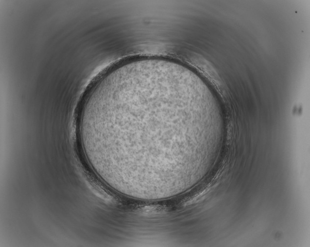 X0000096690584200802261542