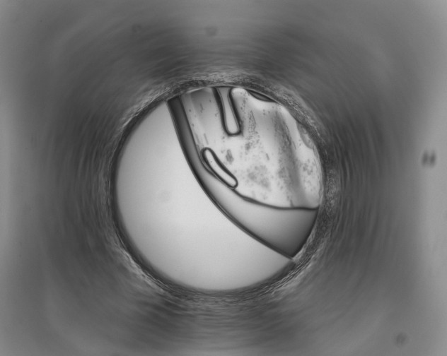 X0000096690585200802261542