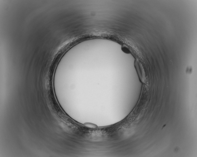 X0000096690587200802261542