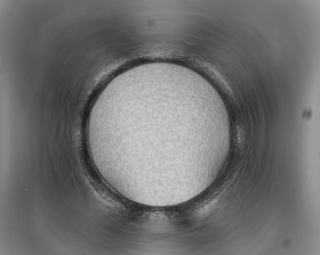 X0000096690588200802261542