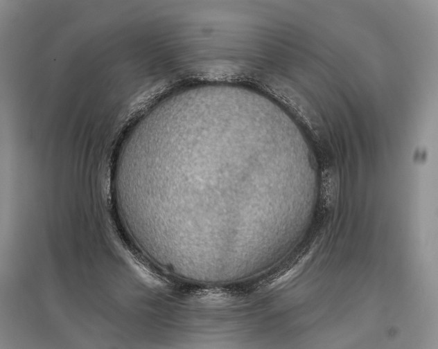 X0000096690589200802261542