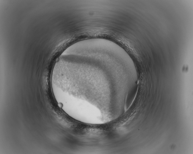 X0000096690590200802261542