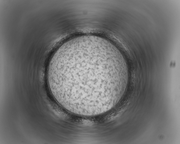 X0000096690592200802261542