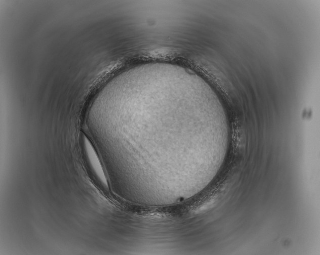 X0000096690593200802261542