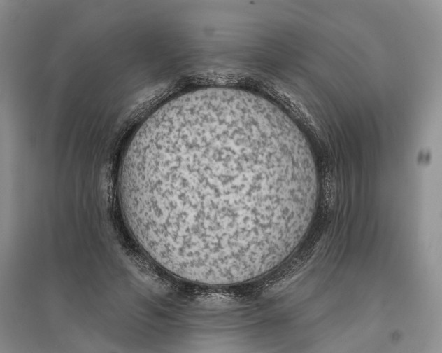 X0000096690594200802261542