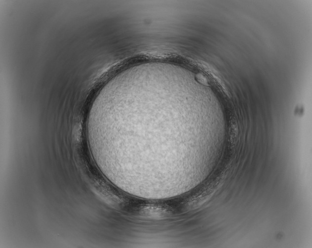 X0000096690596200802261542