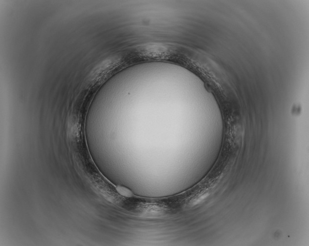 X0000096690597200802261542