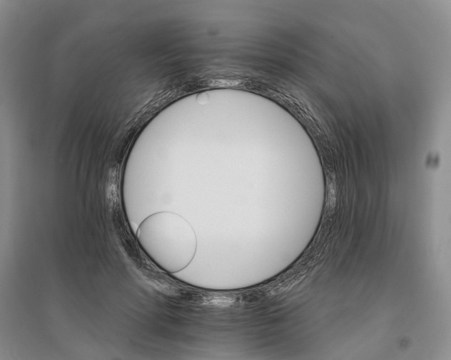 X0000096690598200802261542