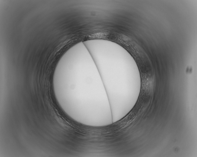 X0000096690599200802261542