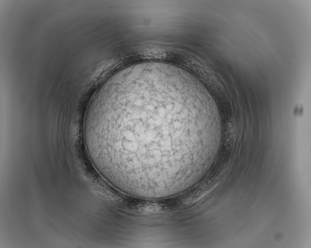 X0000096690600200802261542