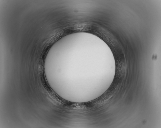 X0000096690601200802261542