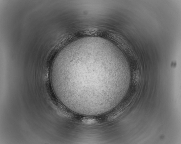 X0000096690602200802261542