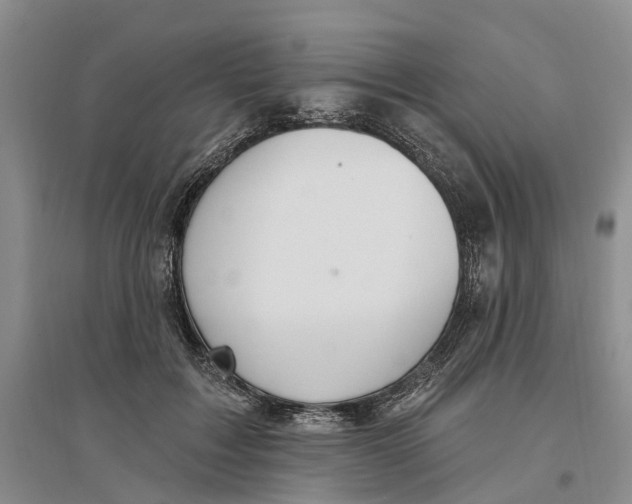 X0000096690603200802261542