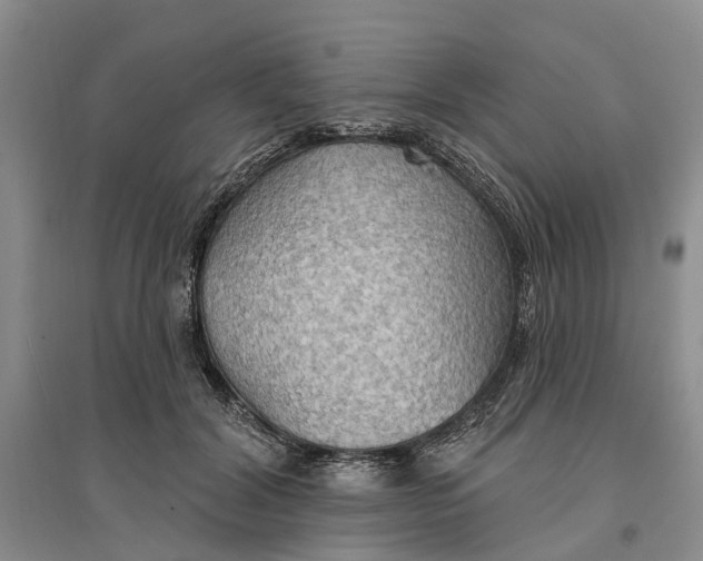 X0000096690604200802261542