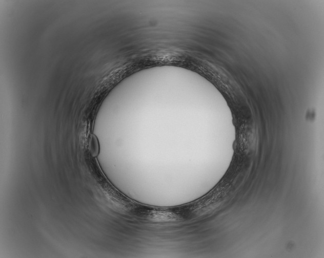 X0000096690605200802261542