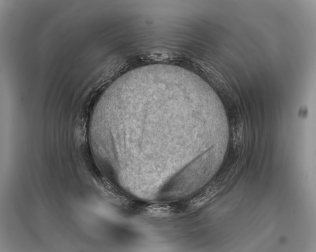 X0000096690606200802261542