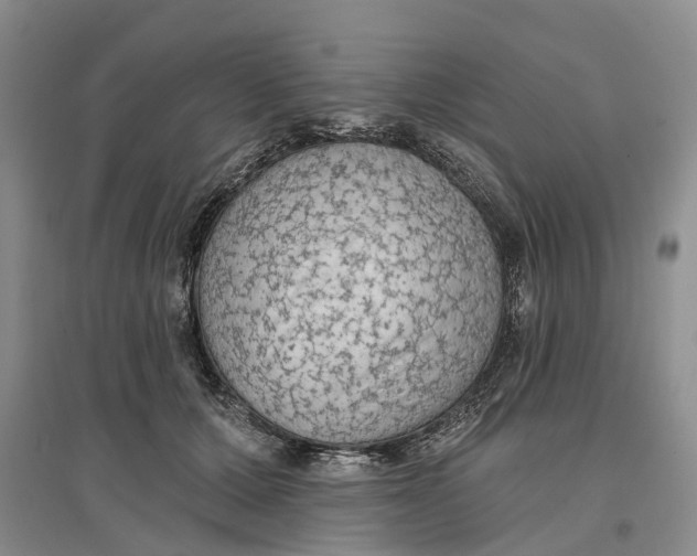 X0000096690607200802261542