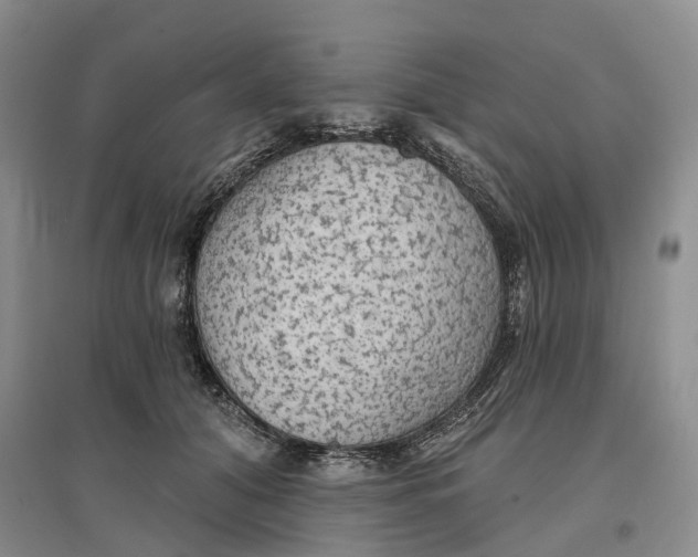 X0000096690608200802261542