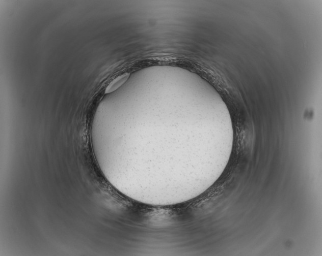 X0000096690609200802261542