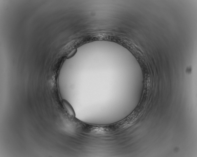 X0000096690611200802261542