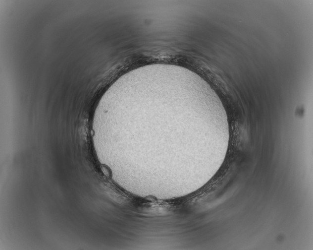 X0000096690612200802261542