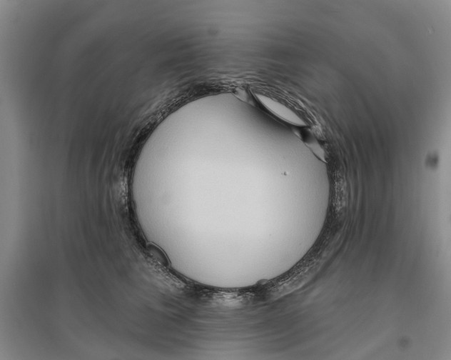 X0000096690613200802261542