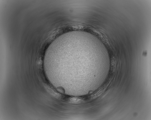 X0000096690614200802261542