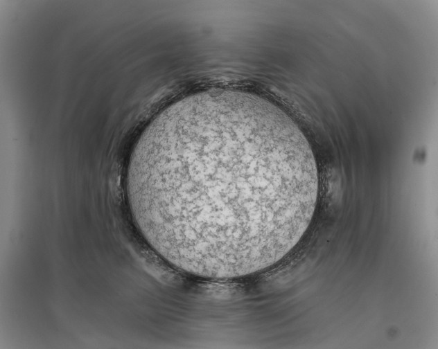 X0000096690615200802261542