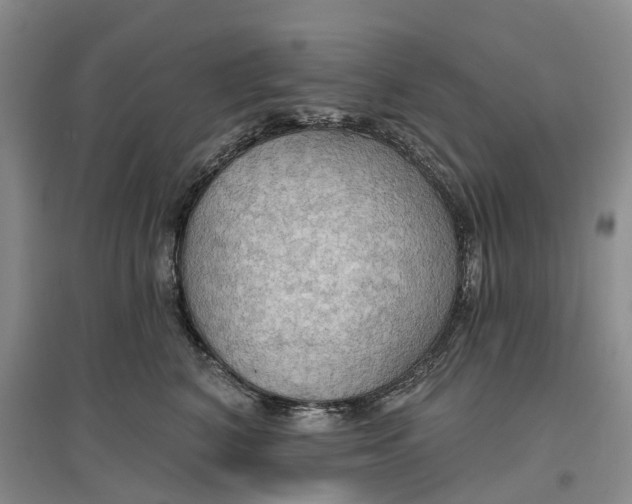 X0000096690616200802261542