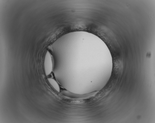 X0000096690617200802261542