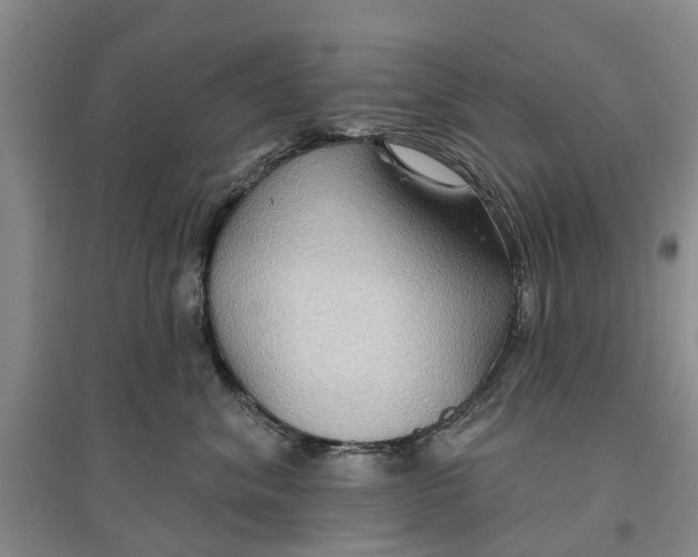 X0000096690620200802261542