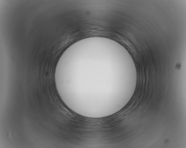 X0000096690621200802261542