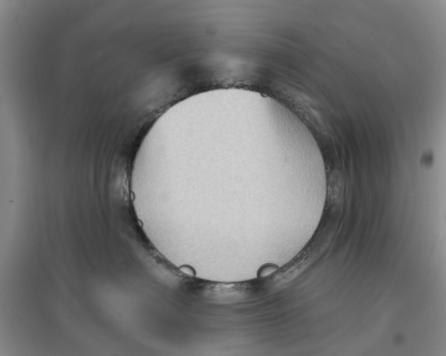 X0000096690622200802261542