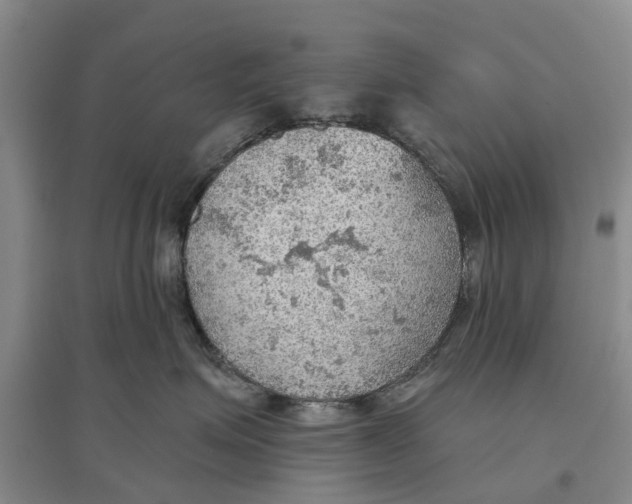 X0000096690623200802261542