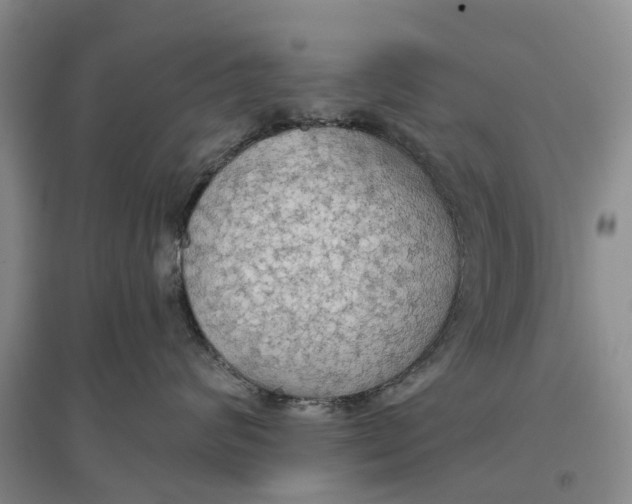 X0000096690624200802261542