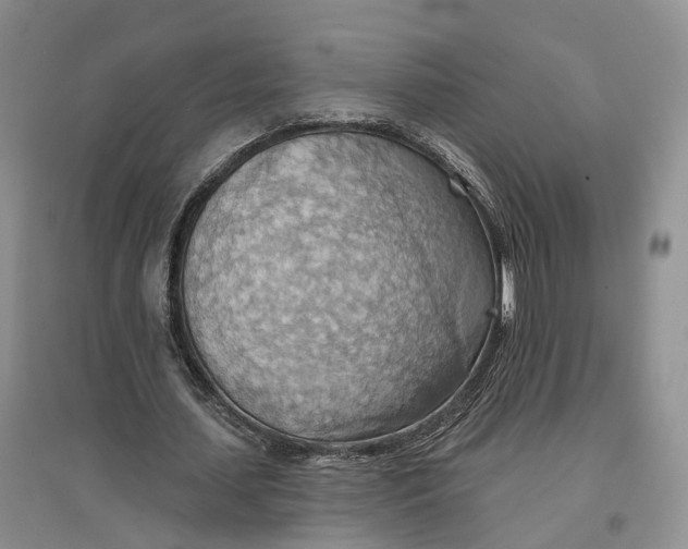 X0000096690627200802261541