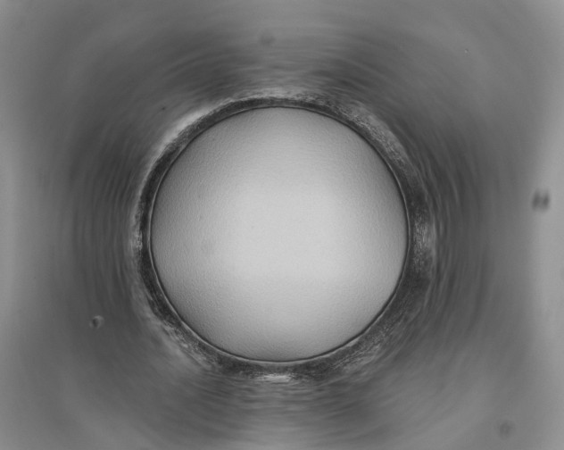 X0000096690628200802261541