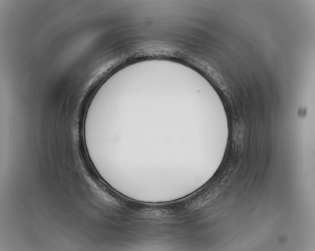 X0000096690629200802261541