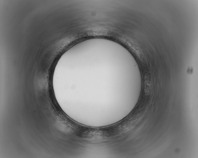 X0000096690631200802261541