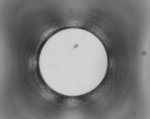 X0000096690632200802261541