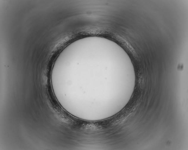 X0000096690635200802261541