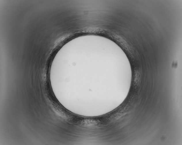 X0000096690636200802261541