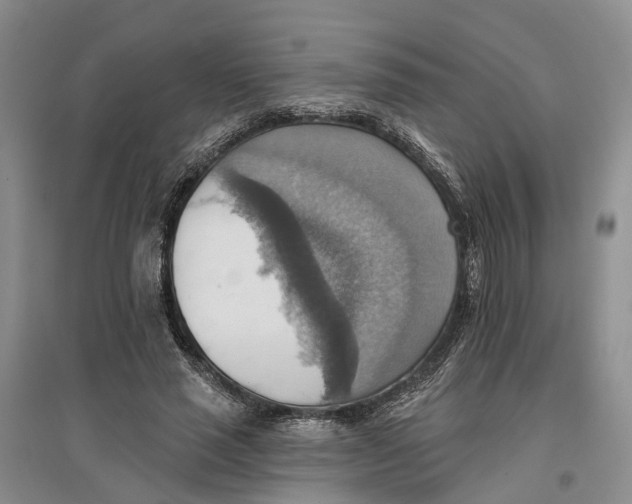 X0000096690637200802261541