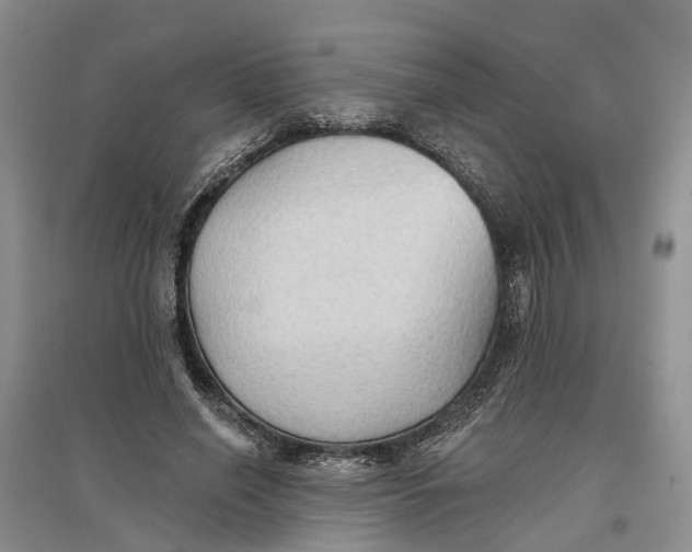 X0000096690638200802261541