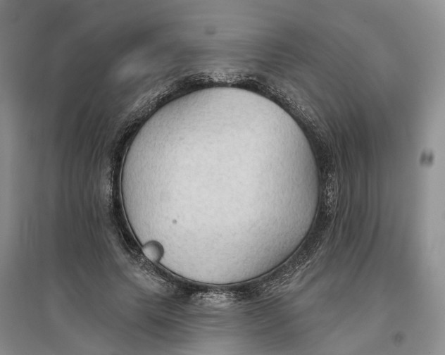 X0000096690639200802261541