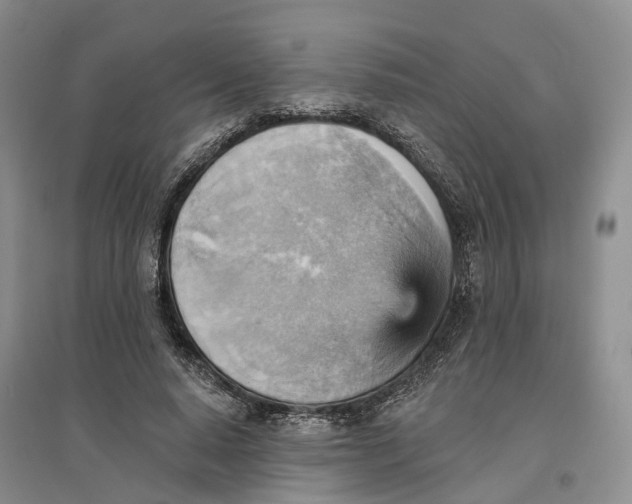 X0000096690640200802261541