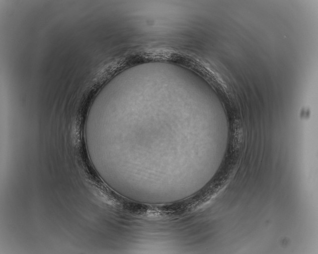 X0000096690641200802261541